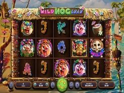 Wild Hog Luau
